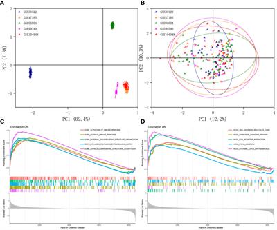 Identification of endoplasmic reticulum stress-related biomarkers of diabetes nephropathy based on bioinformatics and machine learning